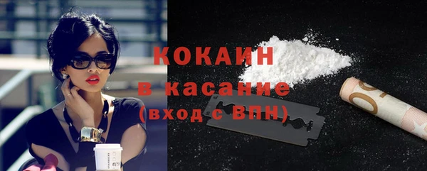 дмт Пересвет