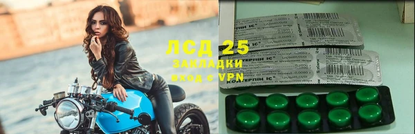 дмт Пересвет