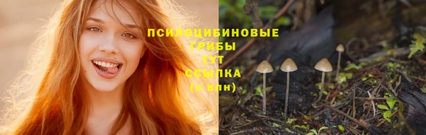 дмт Пересвет