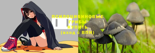дмт Пересвет