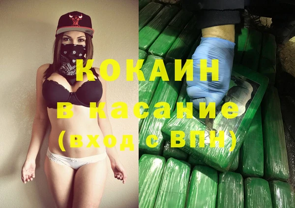 дмт Пересвет
