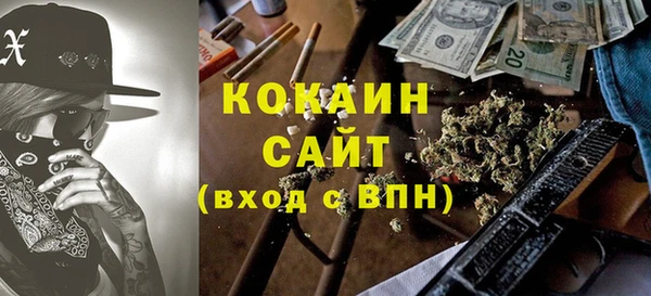 дмт Пересвет
