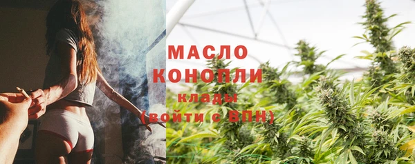 дмт Пересвет