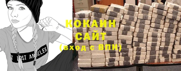 дмт Пересвет