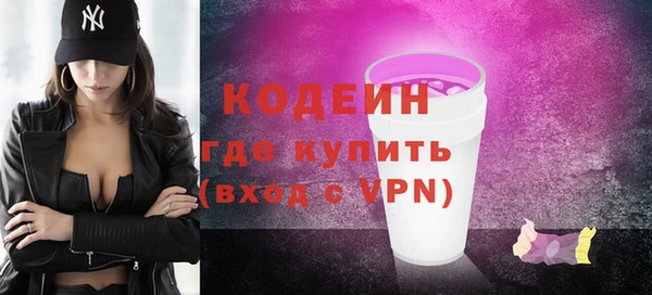дмт Пересвет