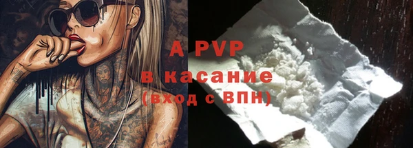 дмт Пересвет