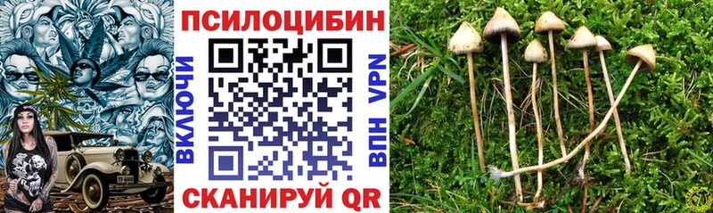 купить закладку Ленск Галлюциногенные грибы ЛСД